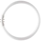 SIGNIFY ITALY SPA - PHLTL5C4084 MASTER TL5 CIRCULAR 40W/840 1CT/10