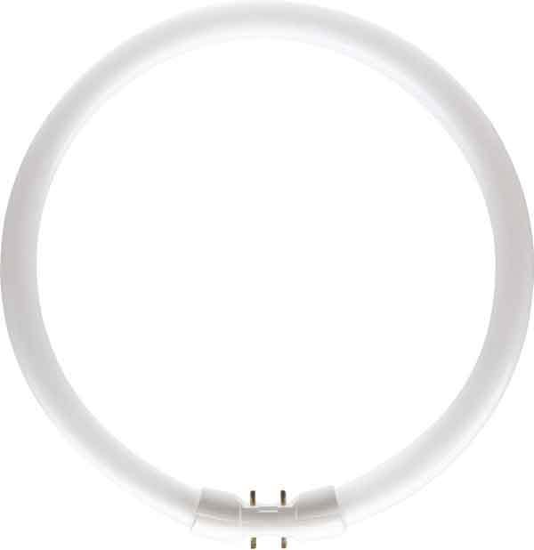 SIGNIFY ITALY SPA - PHLTL5C6083 MASTER TL5 CIRCULAR 60W/830 1CT/10