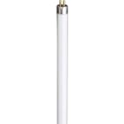 SIGNIFY ITALY SPA - PHL810N Attiniche BL - UV lamp - Consumo energetico: 7.1 W