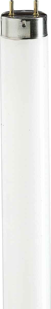 SIGNIFY ITALY SPA - PHLTLD1810 Attiniche BL - UV lamp - Consumo energetico: 18 W