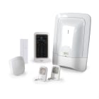 DELTA DORE SRL - DDR6410186 PACK TYXAL+ ACCESS KIT ALLARME RADIO 2 Z