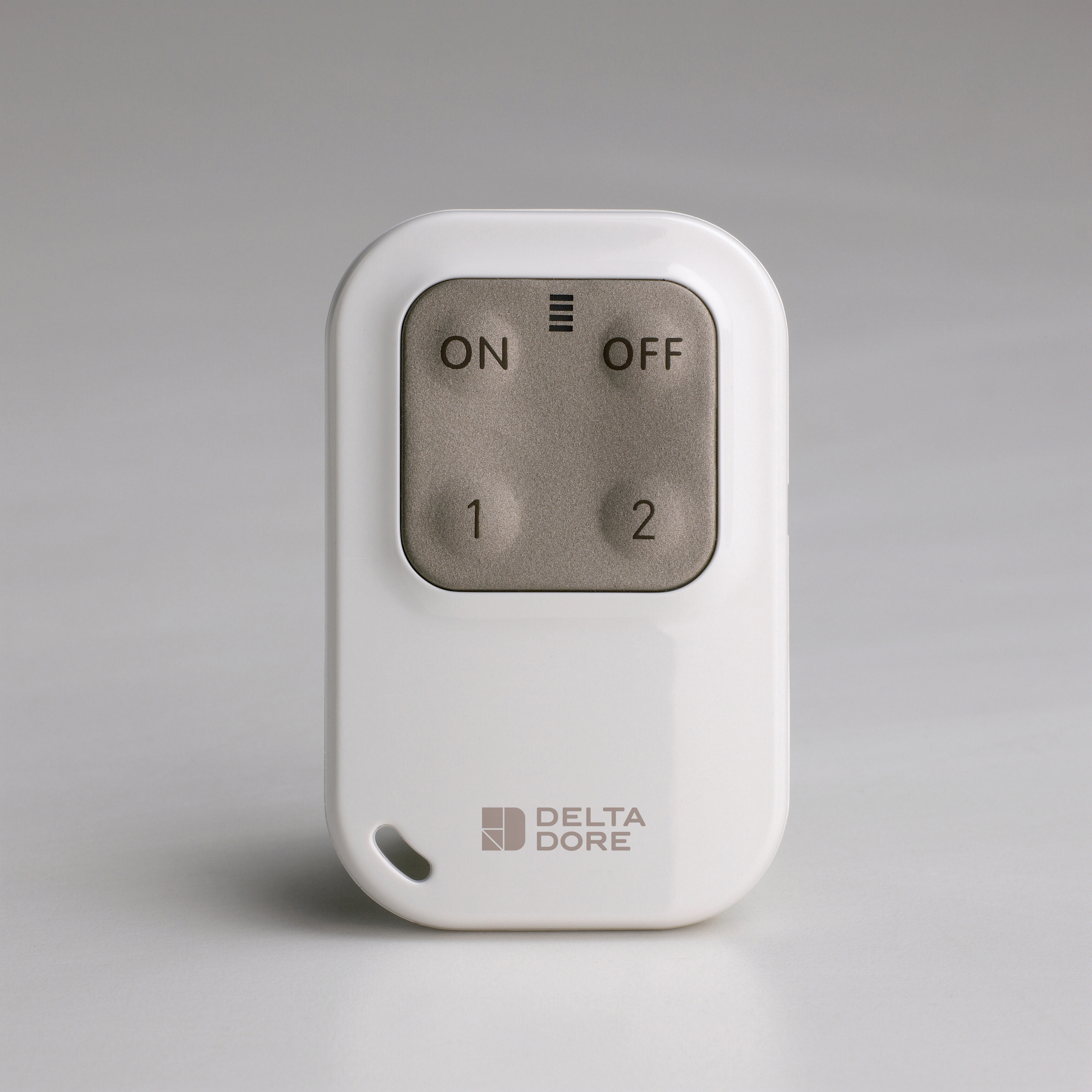 DELTA DORE SRL - DDR6413251 TYXAL TL 2000 TELECOMANDO PORTA CHIAVE