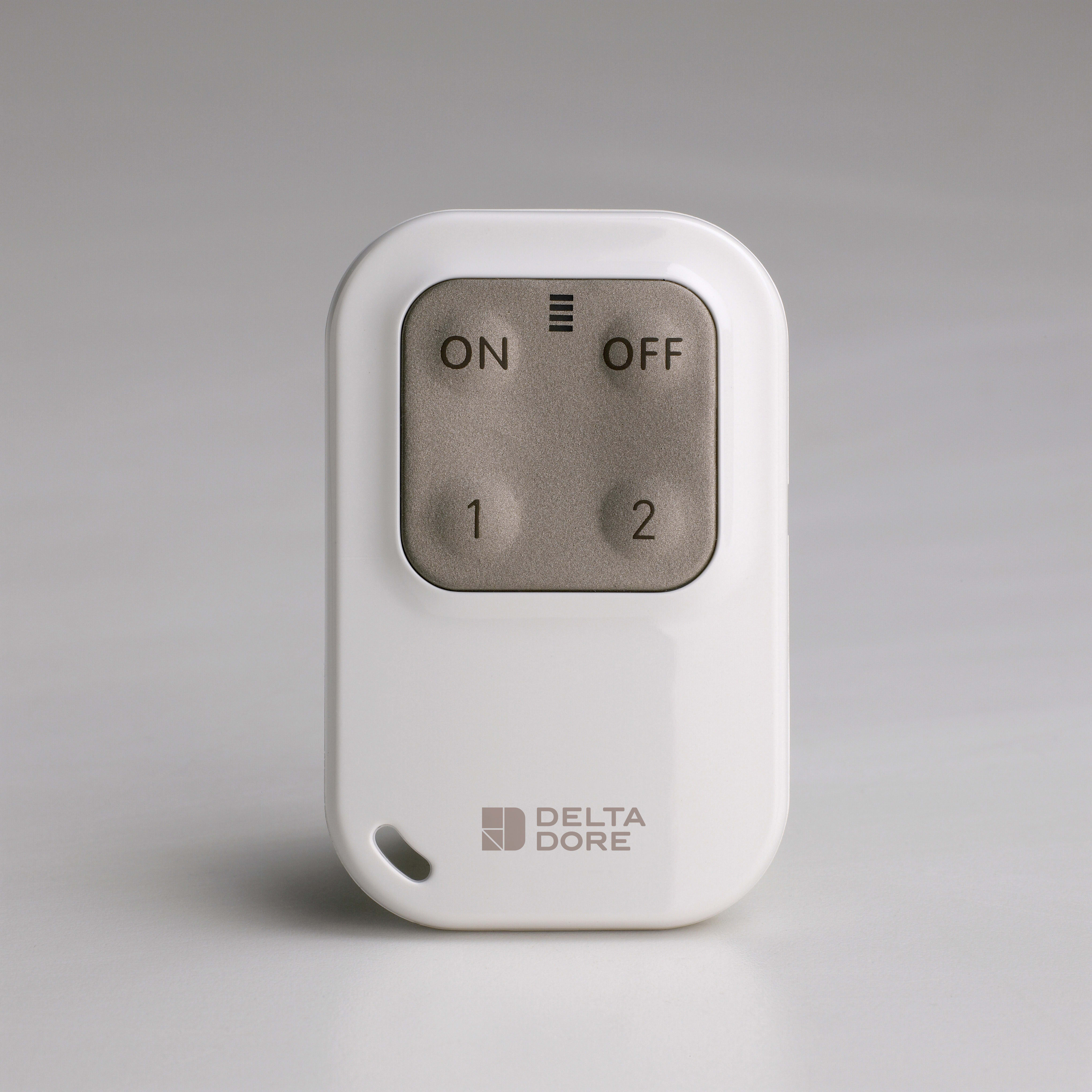 DELTA DORE SRL - DDR6413251 TYXAL TL 2000 TELECOMANDO PORTA CHIAVE