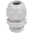 LAPP ITALIA SRL - LPP53018020 SKINTOP ST PG 11 RAL 7035 LGY