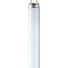 LEDVANCE - LDVL1576 L 15W/76 FLH1 OSRAM
