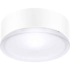 PERFORMANCE IN LIGHT - PRI004951 Apparecchio a parete e soffitto 1x100W IAA Ottica simmetrica extra diffodente