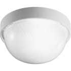 PERFORMANCE IN LIGHT - PRI005010 Apparecchio a parete e soffitto 1x100W IAA Ottica simmetrica extra diffodente