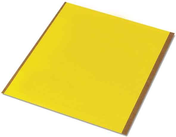 PHOENIX CONTACT - PHC5031582 BMK 19X11 YE FOGLIO CON ETICHETTE