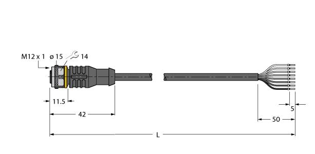TURCK BANNER SRL - TUK6625142 RKC8T-2/TXL