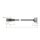 TURCK BANNER SRL - TUK6625329 RKC12T-10/TEL