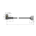TURCK BANNER SRL - TUK6625331 WKC12T-5/TEL