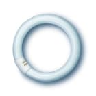 LEDVANCE (RADIUM) - RDML40840CRA NL-T9 40W/840 C G10Q FLH1 RDIUM