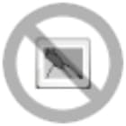 PHOENIX CONTACT - PHC1585443 HC-A16-I-CT-F INSERTO PORTACONTATTI