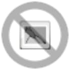 PHOENIX CONTACT - PHC1585443 Inserto contatti