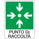 OCMEI SRL - OCM6CR1773-B CART.230X290MM PUNTO DI RACCOLTA