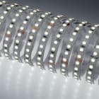 NOBILE ITALIA - NOB70042/C STRIP 5M 7W/M 140LED/M 3K IP20 24V