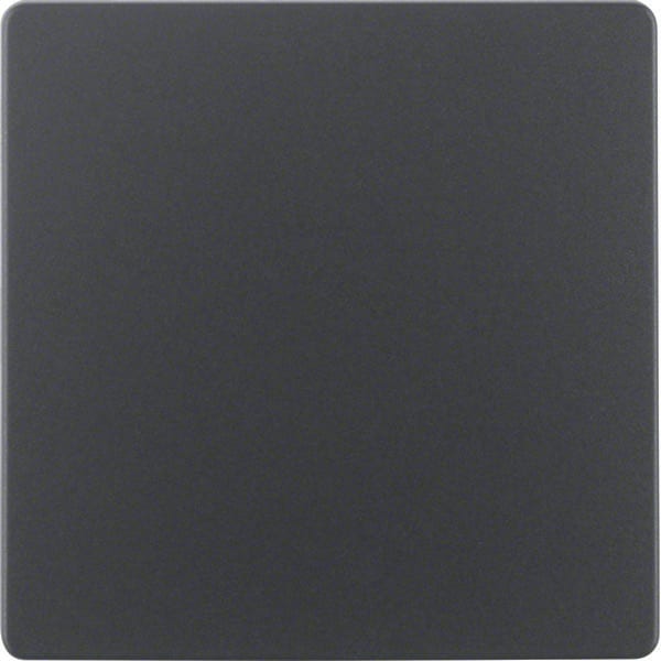 BERKER - BRK75940485 Zentralplatte fur Sensor-Einsatz Zentral