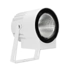 LINEA LIGHT (ILED) - ILD84532N60 SHAKER 7 1LED 25W+AL.BG