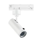 LINEA LIGHT (ILED) - ILD82105W85 POUND FOC.5 1L 15WAC CRI92+DIM BG