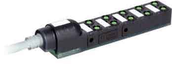 MURRELEKTRONIK SRL - MUE8000800103850500 EXACT8 10XM8 3 POLI, CAVO PRESSOFUSO