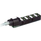 MURRELEKTRONIK SRL - MUE8000880103570500 EXACT8 8XM8 3 POLI CAVO PRECABLATO