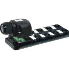 MURRELEKTRONIK SRL - MUE8000884500000000 EXACT12 8XM12 4 POLI CALOTTA ESTRAIBILE