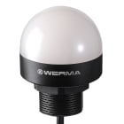 WERMA ITALIA SRL - WRA24022055 MC55 RGY SPINA M12 24VDC