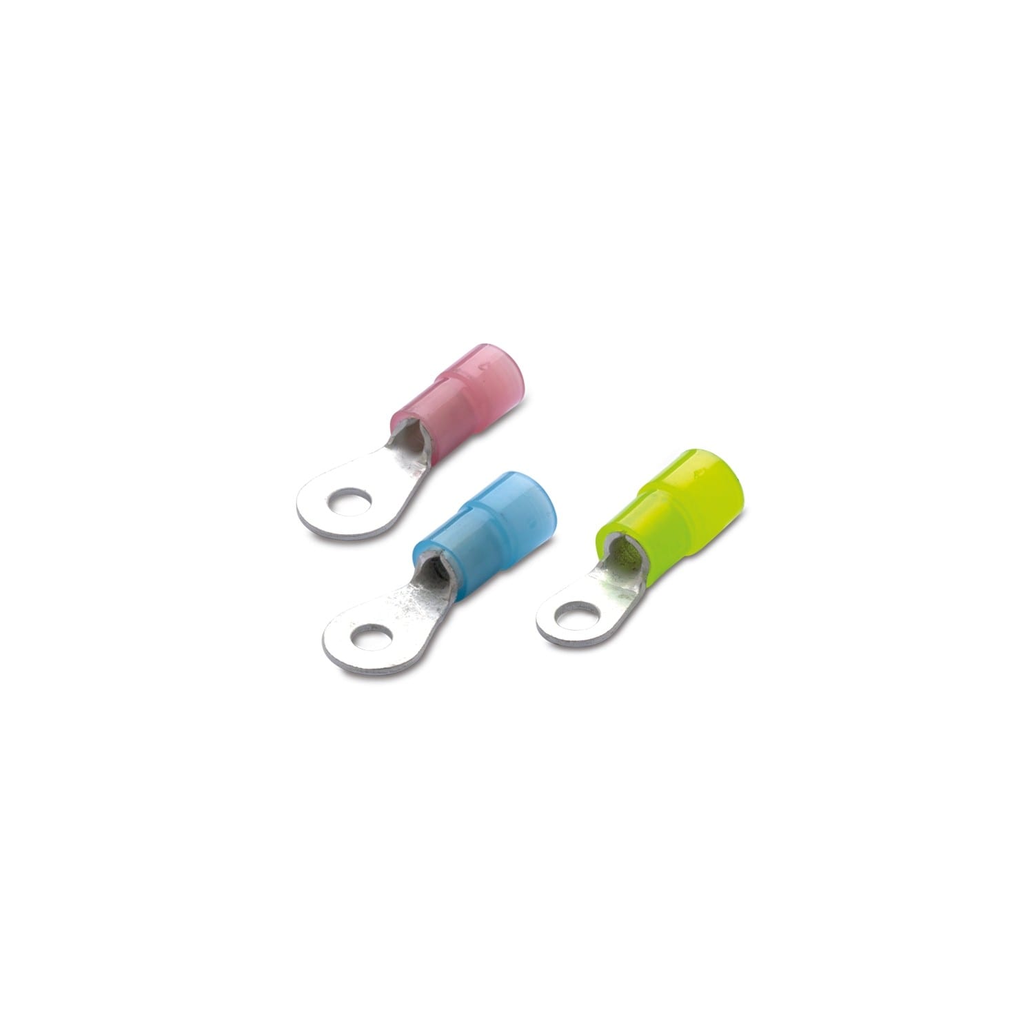 BM SPA - BMM80143 TERM IS NY OCC 1,5 F 10