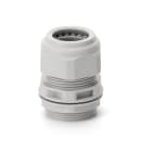SCAME PARRE SPA - SCA805.5450 PRESSACAVO PASSO METRICO M50X1,5 LIGHT