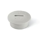 SCAME PARRE SPA - SCA805.3383 TAPPO FILETTATO PG 13,5