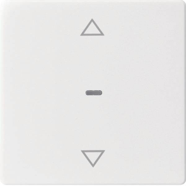 BERKER - BRK80961229 Abdeck. Tast.-M. 1f. Pfeil Q.x pw gl