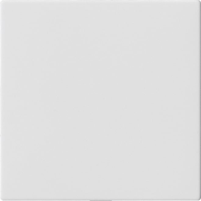 GIRA - GIR810827 Blindabd. o.Tragring System 55 Reinweiss