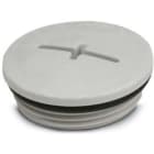 PHOENIX CONTACT - PHC1424521 A-INSP-M32-68N-P-LG TAPPO