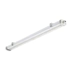 SIGNIFY ITALY SPA - PHA62353800 Pacific LED Gen5, Waterproof, 25.5 W, L1200 mm, 4200 lm, 4000 K, Fascio largo, Trasparente, IP66, IK08