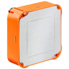 KAISER GMBH & CO. KG - KAI9195-22 SCATOLA UNIVERSALE PER PARETI LEGGERE