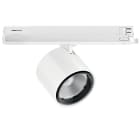 LINEA LIGHT (ILED) - ILD82897W60 OPTUS-T1 5 1L 24W FID CRI98 DALI BG