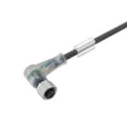 WEIDMULLER - WEI9456380500 SAIL-M12BW-4-2L5.0U