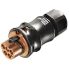 WIELAND ELECTRIC SRL - WIE96.052.4051.4 MALE C.W.STR-REL.RST20I5S S1 ZR1SVL BR01