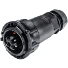 WIELAND ELECTRIC SRL - WIE97.042.4053.1 MALE RST50I4S S1 ZR5 S SW