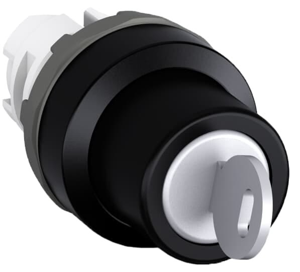 ABB SPA - ABBKV 602 4 M2SSK3-102 SELETT. 2P A CHIAVE RONIS 421