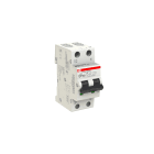ABB SPA - ABBDS201C6A300 DS201 INT.DIFF.MAGN.6KA 1P+N A C6 300MA