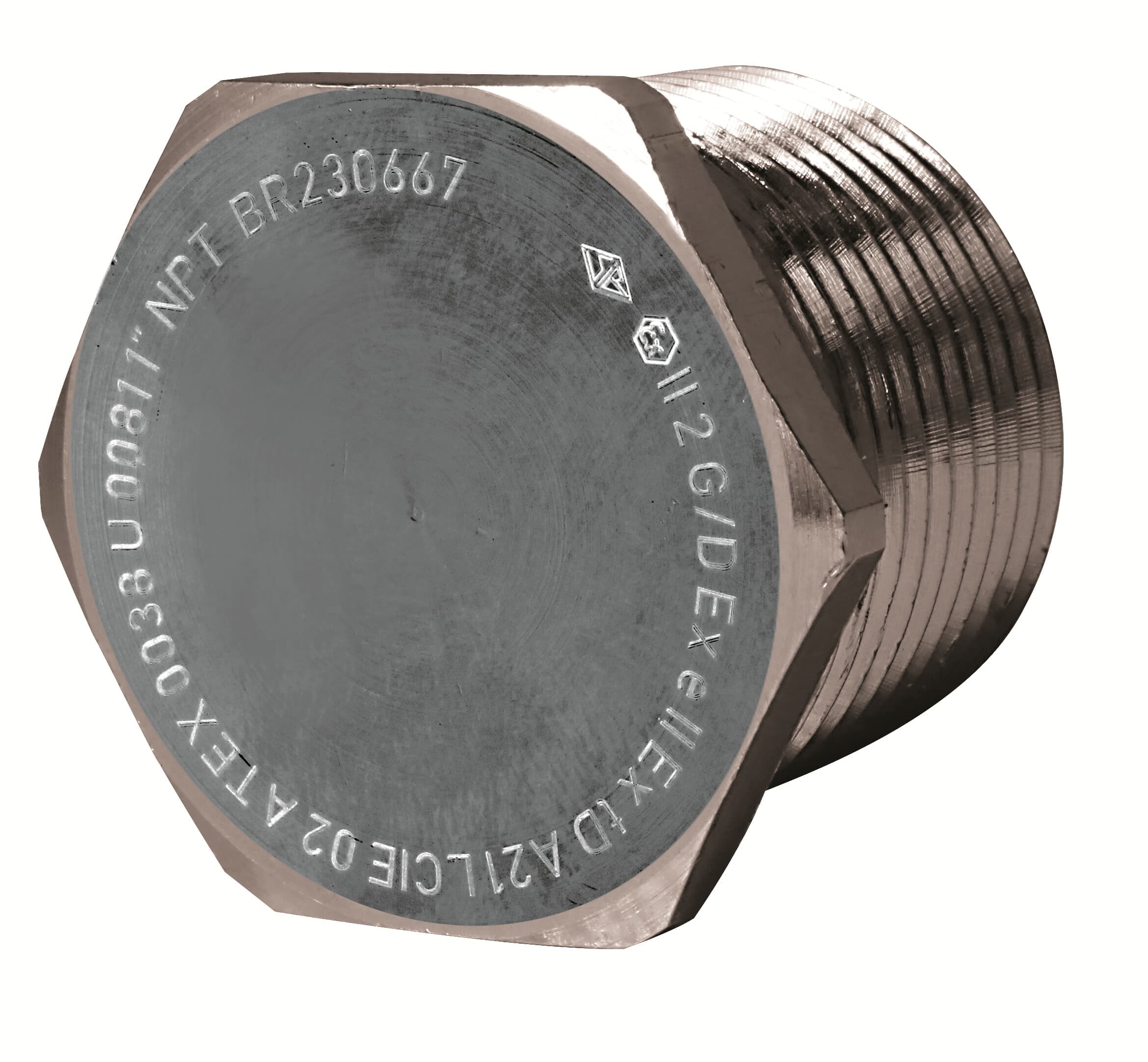 ABB SPA - ABBD4620130 TAPPO ESAGONALE ATEX EX E NPT 3/4 OTT