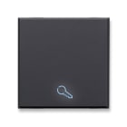 AVE - AVE445TKP/2 TASTO SIMBOLO CHIAVE ILLUM.TEKLA 2M