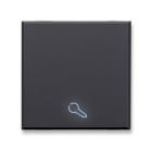 AVE - AVE445TKP/2 TASTO SIMBOLO CHIAVE ILLUM.TEKLA 2M