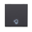 AVE - AVE445TSP/2 TASTO SIMBOLO SUONERIA ILL.TEKLA 2M