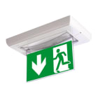 LINERGY SRL - LENA030 KIT BIFACCIALE DI SEGNALAZIONE PER LEDY