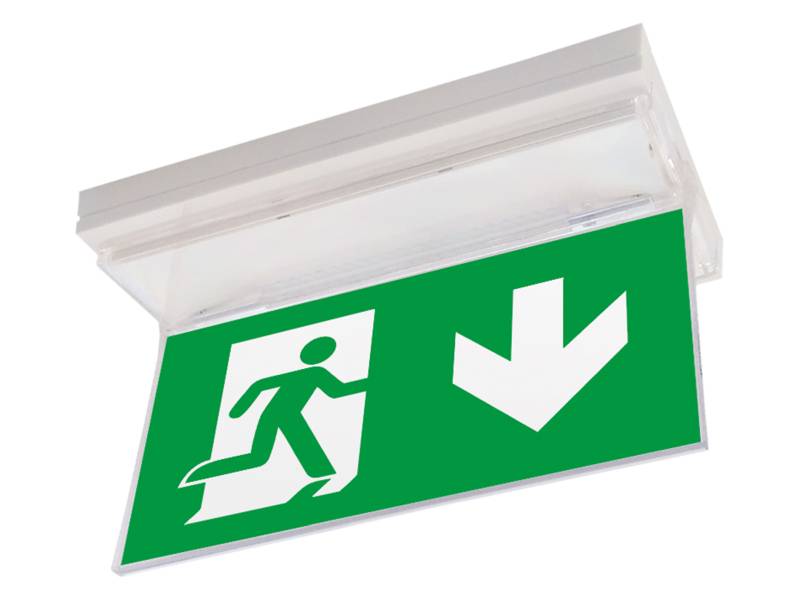 LINERGY SRL - LENA291 KIT BIFACCIALE SEGNALAZIONE PRODIGY XL G