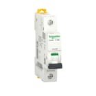 SCHNEIDER ELECTRIC - SNRA9F64125 IC60A 1P C 25A 4500A