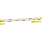 SCHNEIDER ELECTRIC - SNRA9XPC624 PETTINE IC40 1P+N 24 MODULI