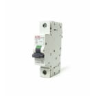 ELETTRA SRL AEG - AEGEC91C25NR INT.AUT. AEG 1P+N C 6KA 25A 1M 692871